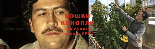 дурь Новозыбков