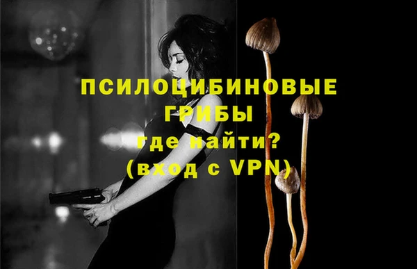 гашик Нефтегорск