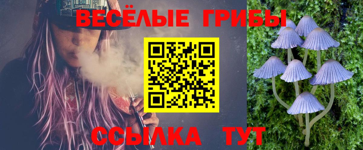 Псилоцибиновые грибы Psilocybe Туймазы