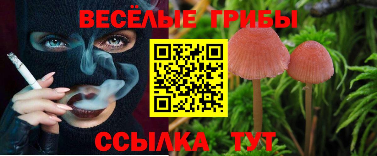 Туймазы  Галлюциногенные грибы GOLDEN TEACHER  Псилоцибиновые грибы GOLDEN TEACHER  Вход с VPN 